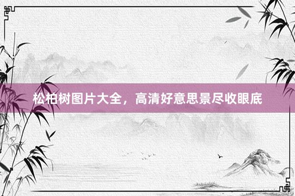 松柏树图片大全，高清好意思景尽收眼底