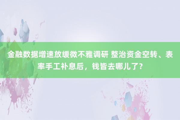 金融数据增速放缓微不雅调研 整治资金空转、表率手工补息后，钱皆去哪儿了？