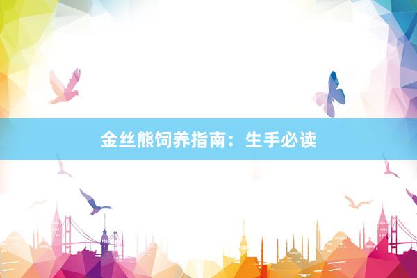 金丝熊饲养指南：生手必读
