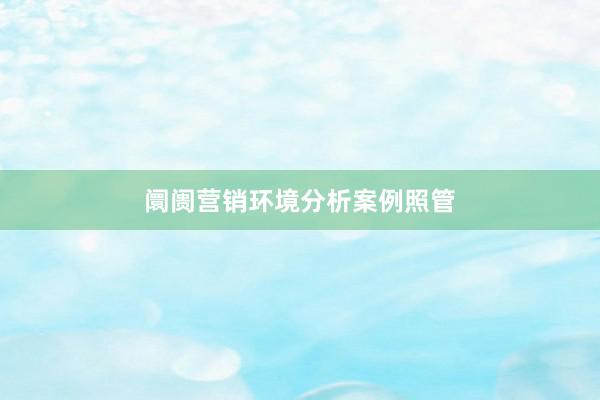 阛阓营销环境分析案例照管